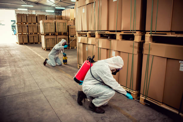 Best Affordable Exterminators  in Fulshear, TX