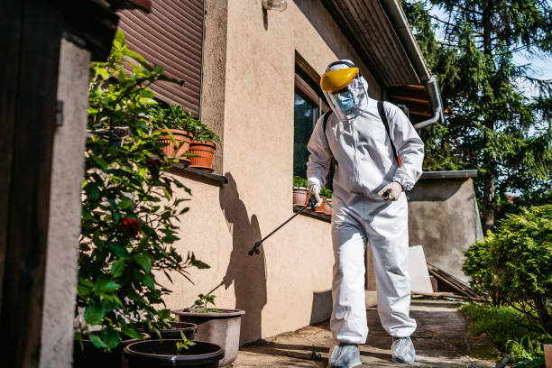 Best Cockroach Control Services  in Fulshear, TX
