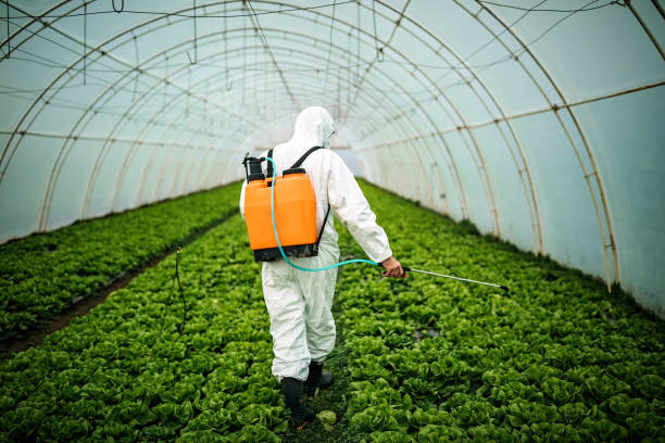 Best Pest Removal Services  in Fulshear, TX