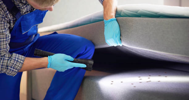 Best Exterminator Services  in Fulshear, TX