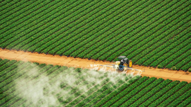 Best Commercial Pest Control Services  in Fulshear, TX